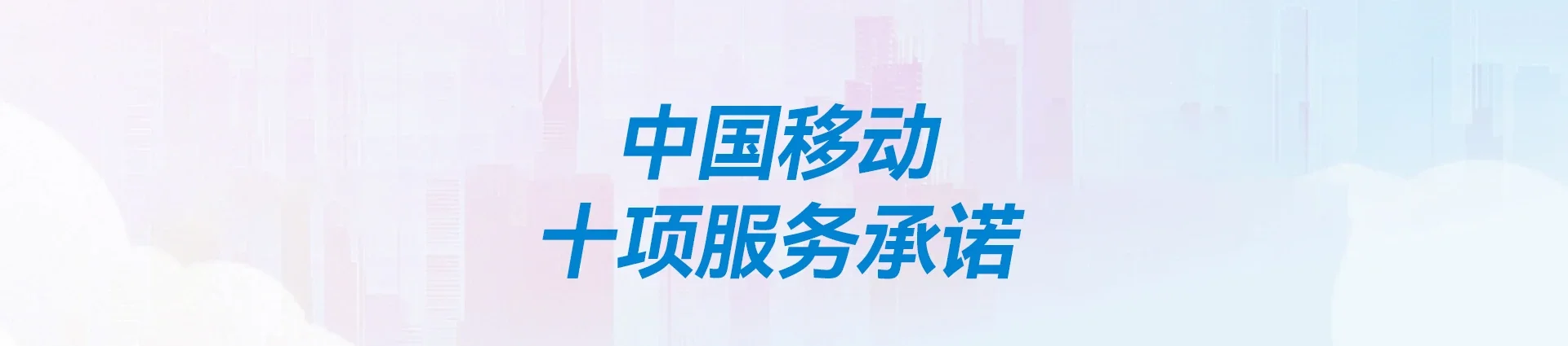 国营大丰农场移动宽带